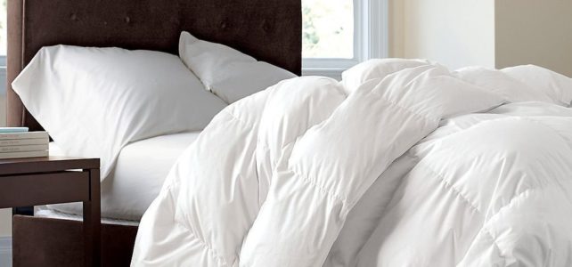 Luxurious Siberian Goose Down Comforter